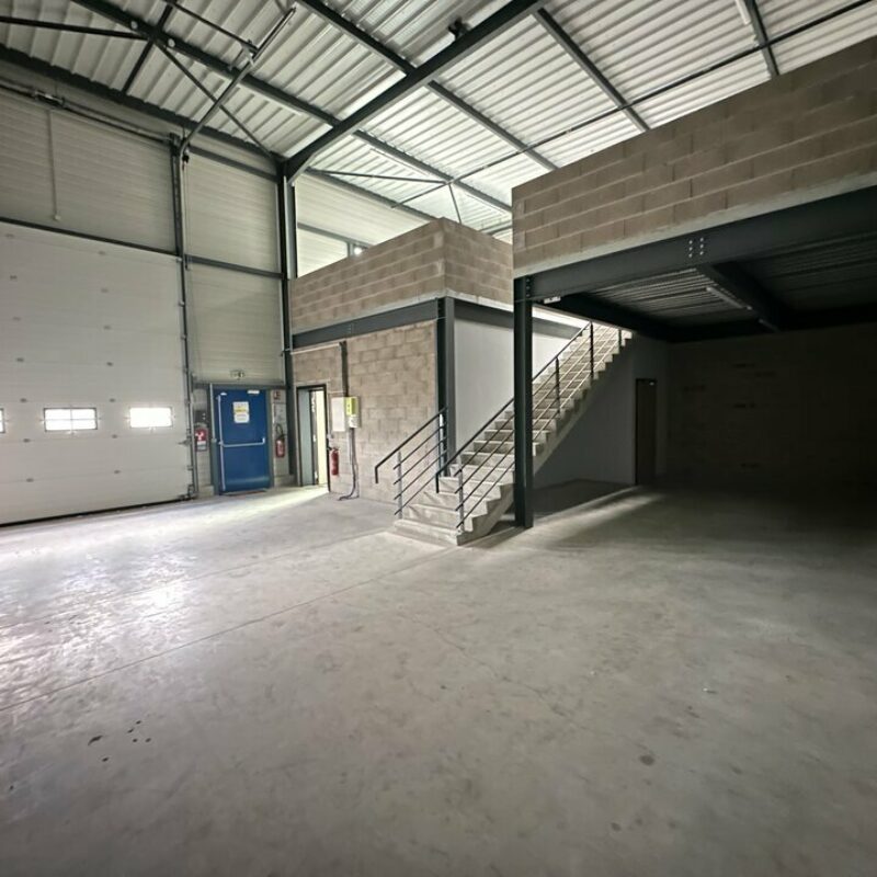 Location - 189 m² - ILLKIRCH GRAFFENSTADEN - 3