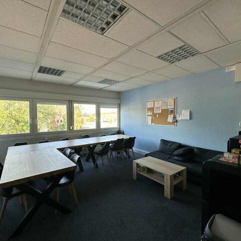 Location - 695.8 m² - MUNDOLSHEIM - 5