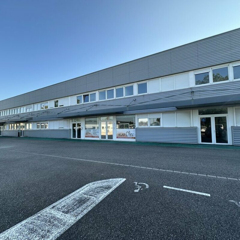 Location - 695.8 m² - MUNDOLSHEIM - 2