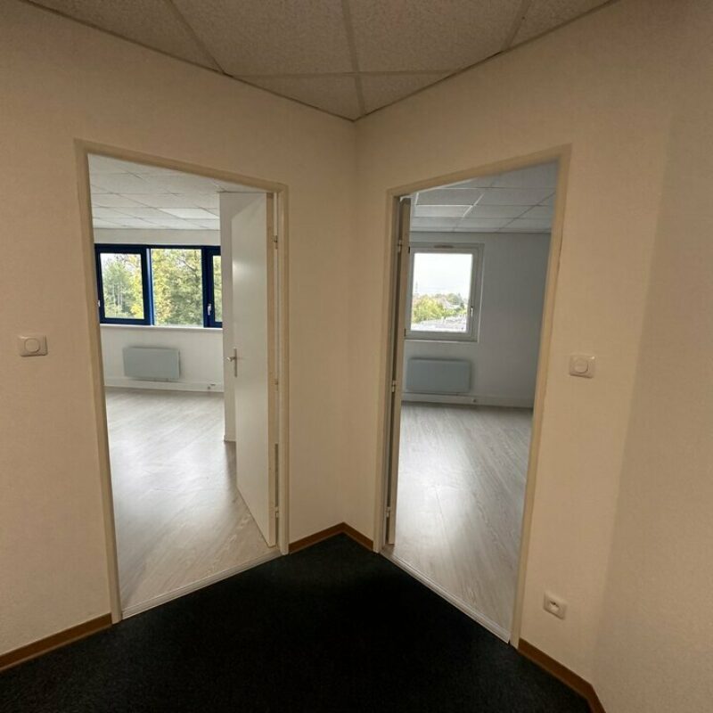 Location - 450 m² - HOENHEIM - 2