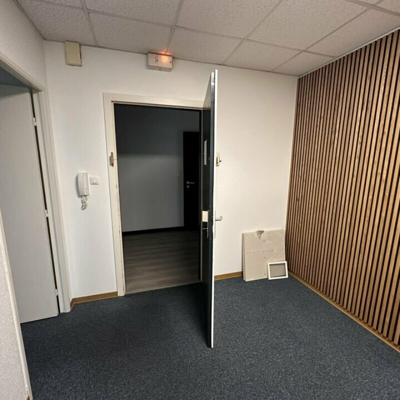 Location - 450 m² - HOENHEIM - 3