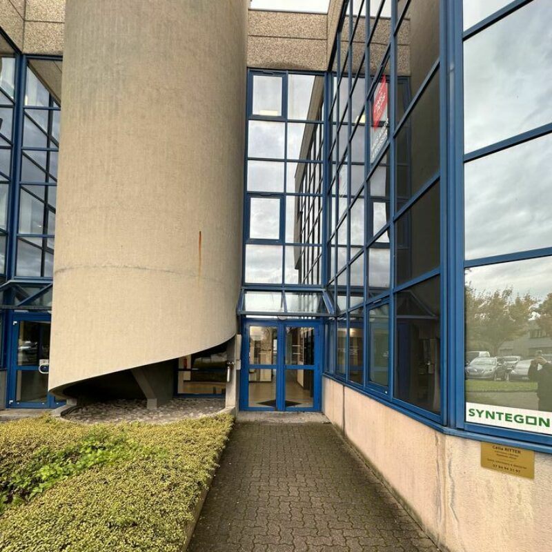 Location - 450 m² - HOENHEIM - 1