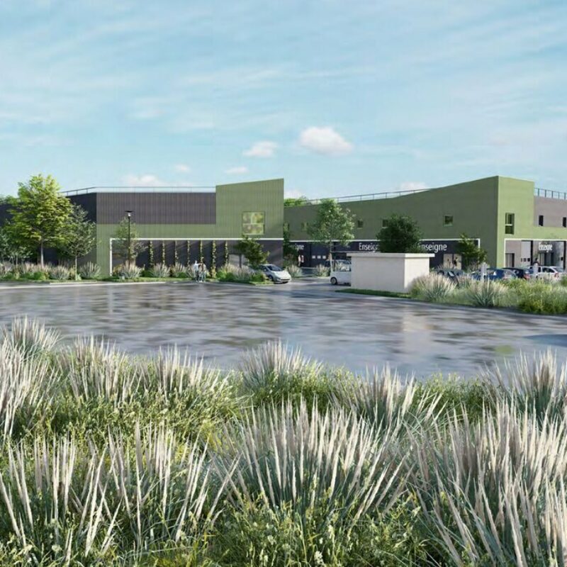 Vente - 885 m² - ESCHAU - 3