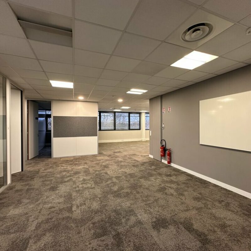 Location - 1397 m² - SCHILTIGHEIM - 3