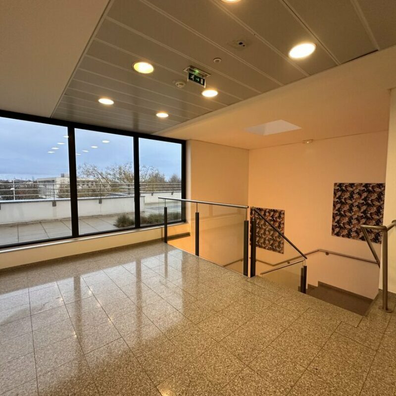 Location - 1397 m² - SCHILTIGHEIM - 2