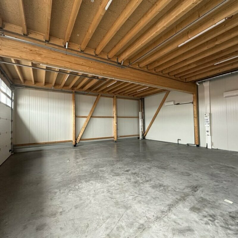 Location - 433 m² - ENTZHEIM - 3