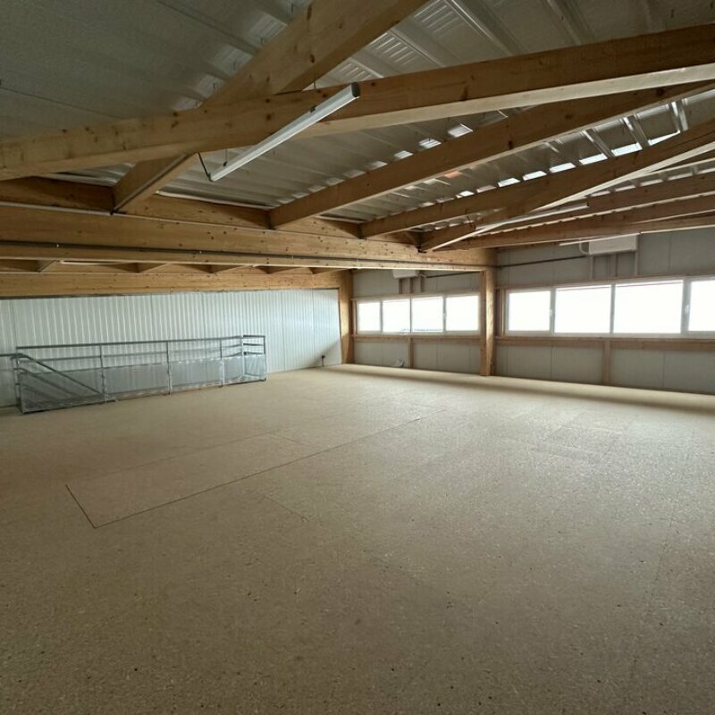 Location - 288 m² - SCHILTIGHEIM - 5