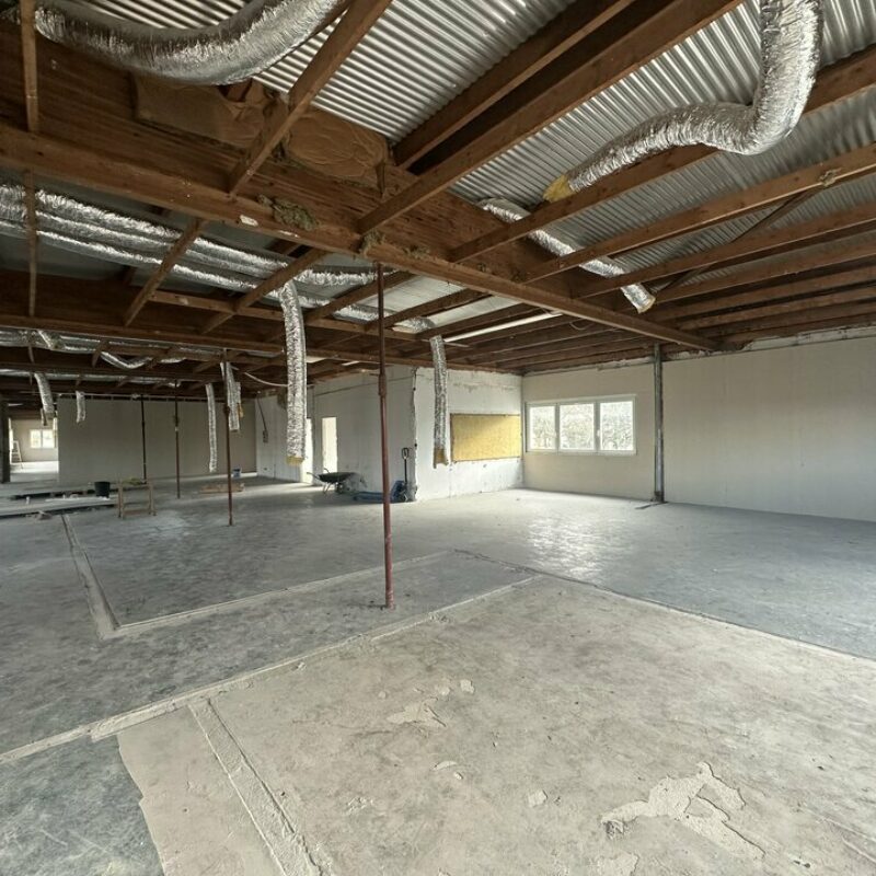 Location - 580 m² - WOLFISHEIM - 2