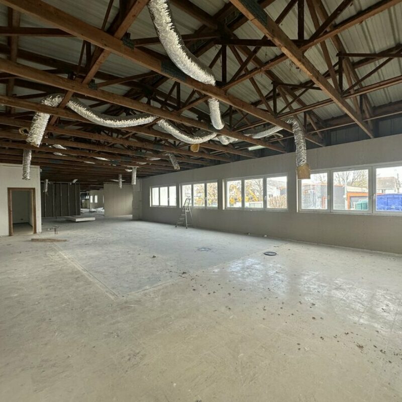 Location - 580 m² - WOLFISHEIM - 5