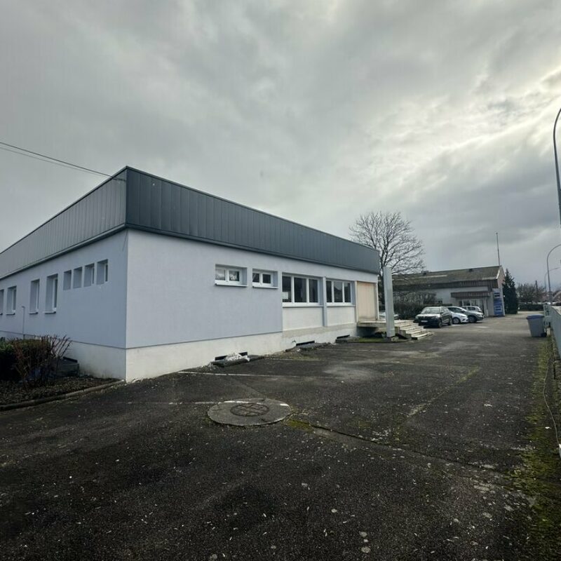 Location - 580 m² - WOLFISHEIM - 1