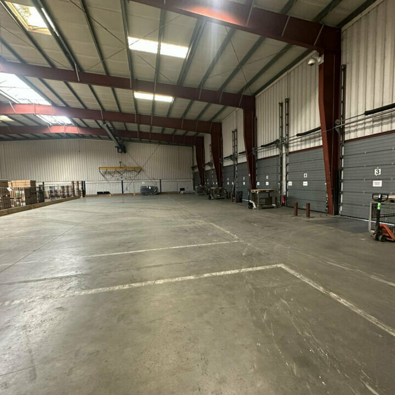 Location - 140 m² - STRASBOURG - 2