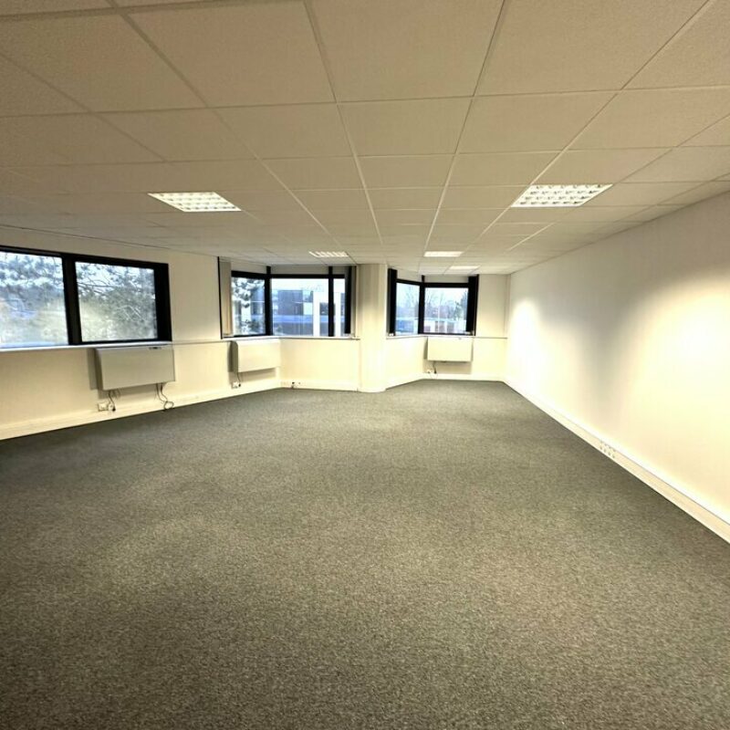 Vente - 250 m² - ILLKIRCH GRAFFENSTADEN - 2