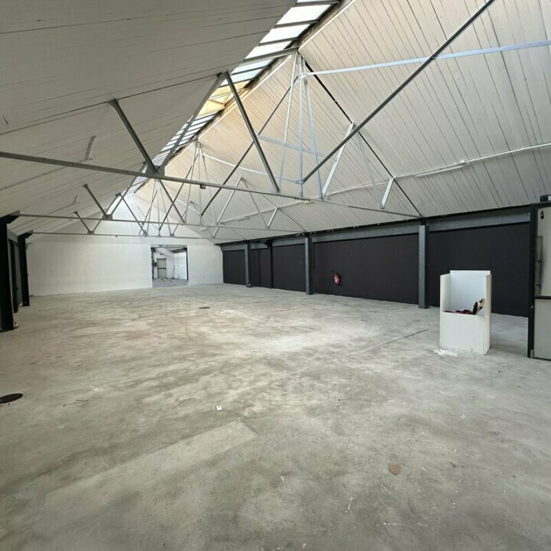 Location - 540 m² - STRASBOURG - 2