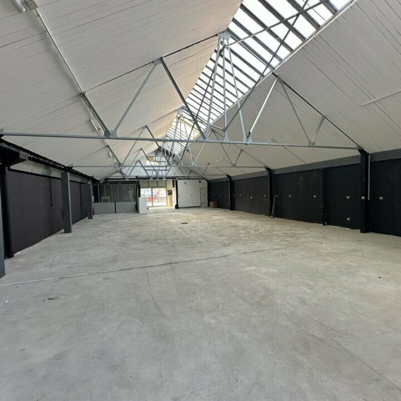 Location - 540 m² - STRASBOURG - 4