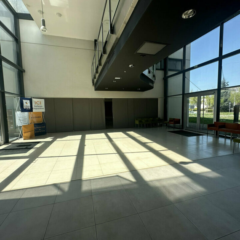 Location - 294.53 m² - SCHILTIGHEIM - 2