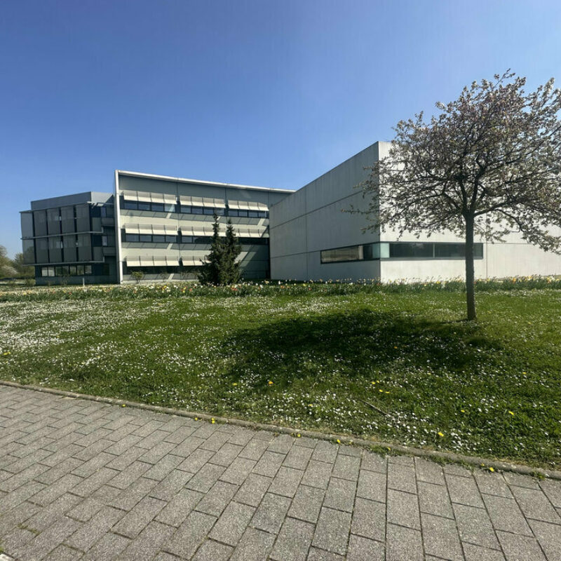 Location - 294.53 m² - SCHILTIGHEIM - 1