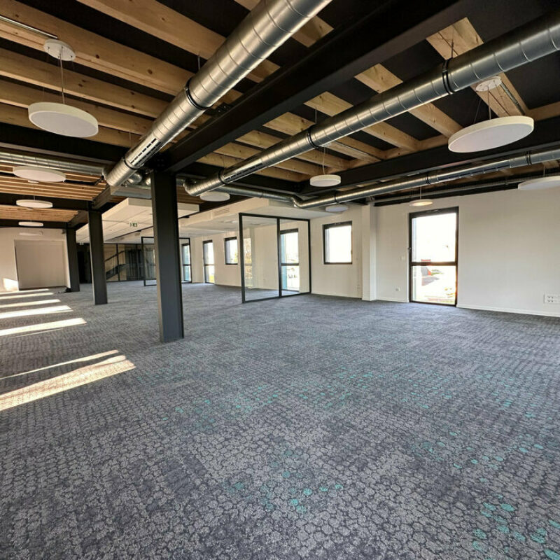 Location - 1383 m² - WETTOLSHEIM - 3