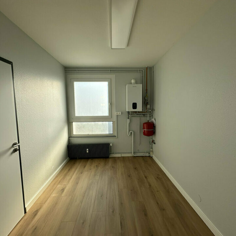 Location - 551.33 m² - STRASBOURG - 4