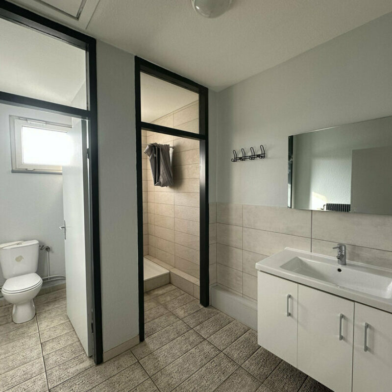 Location - 551.33 m² - STRASBOURG - 3