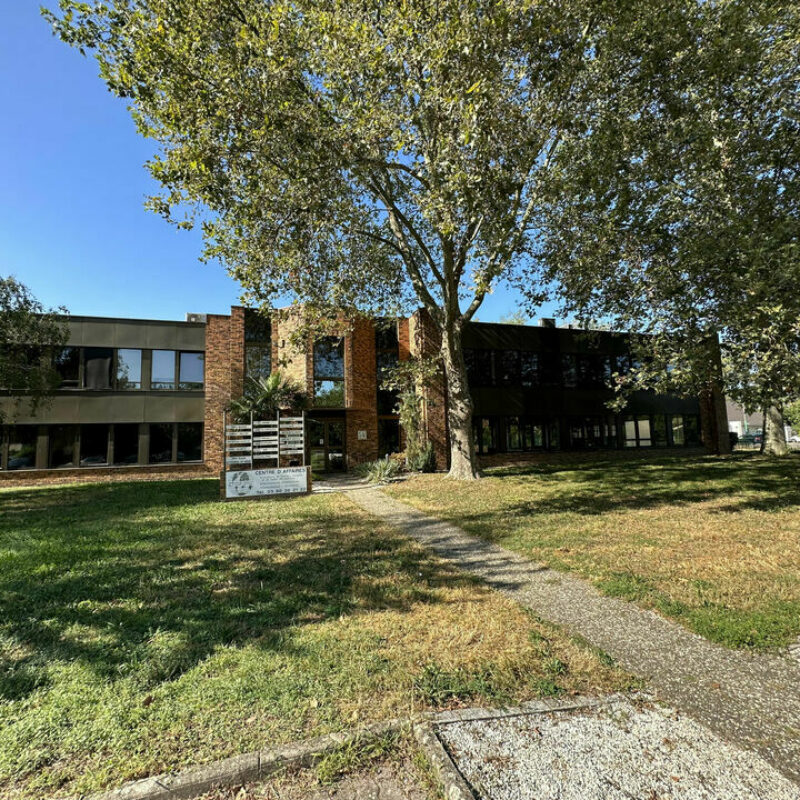 Location - 510.1 m² - LINGOLSHEIM - 1