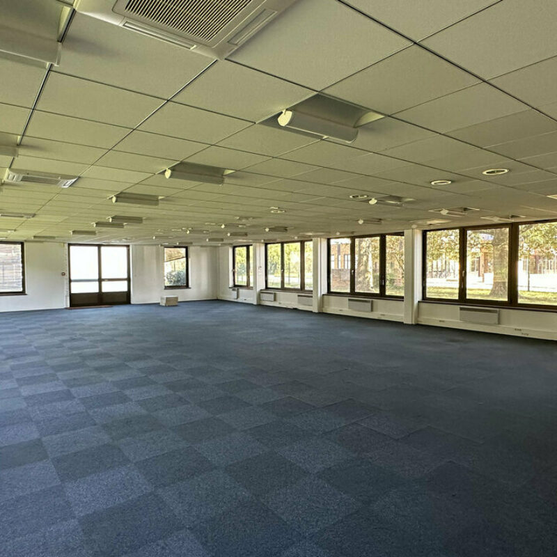 Location - 510.1 m² - LINGOLSHEIM - 2