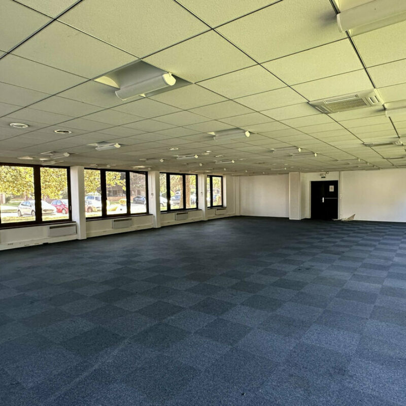 Location - 510.1 m² - LINGOLSHEIM - 3