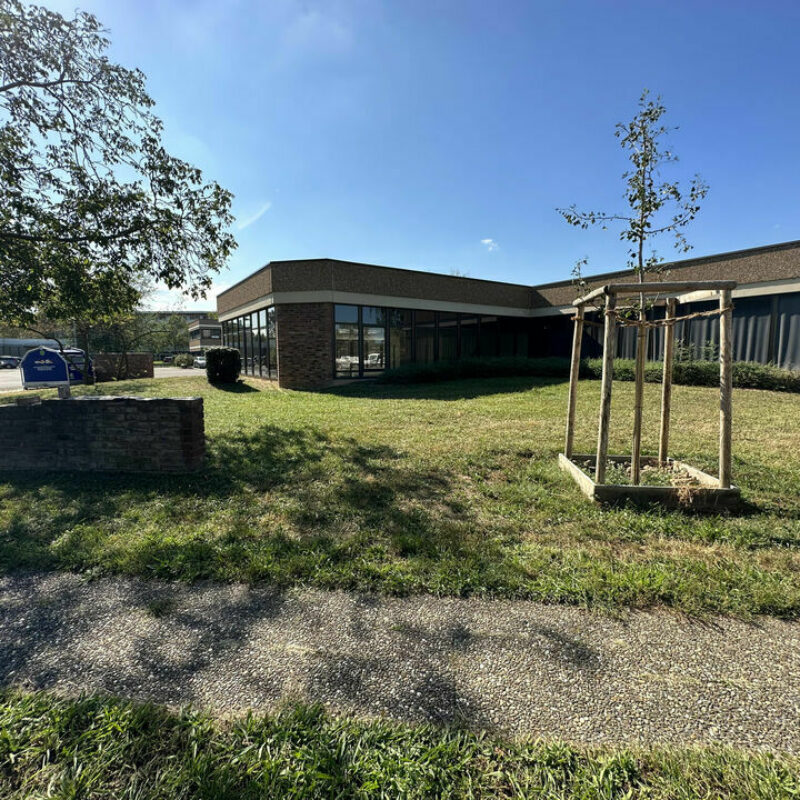 Location - 153.9 m² - LINGOLSHEIM - 1