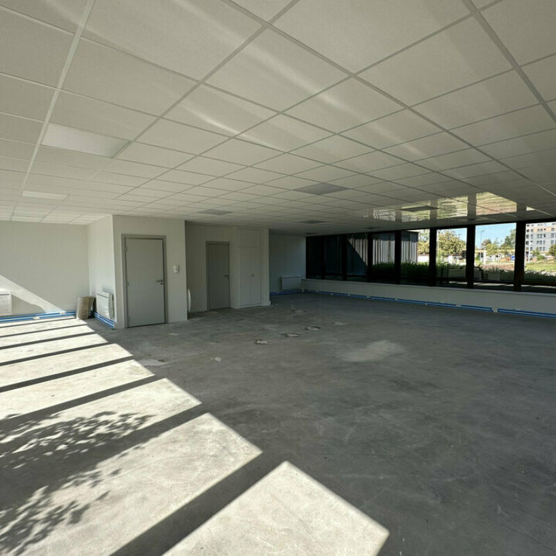 Location - 153.9 m² - LINGOLSHEIM - 3