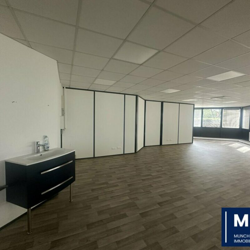 Location - 443 m² - OBERHAUSBERGEN - 1