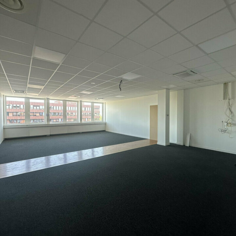 Location - 276 m² - SCHILTIGHEIM - 2