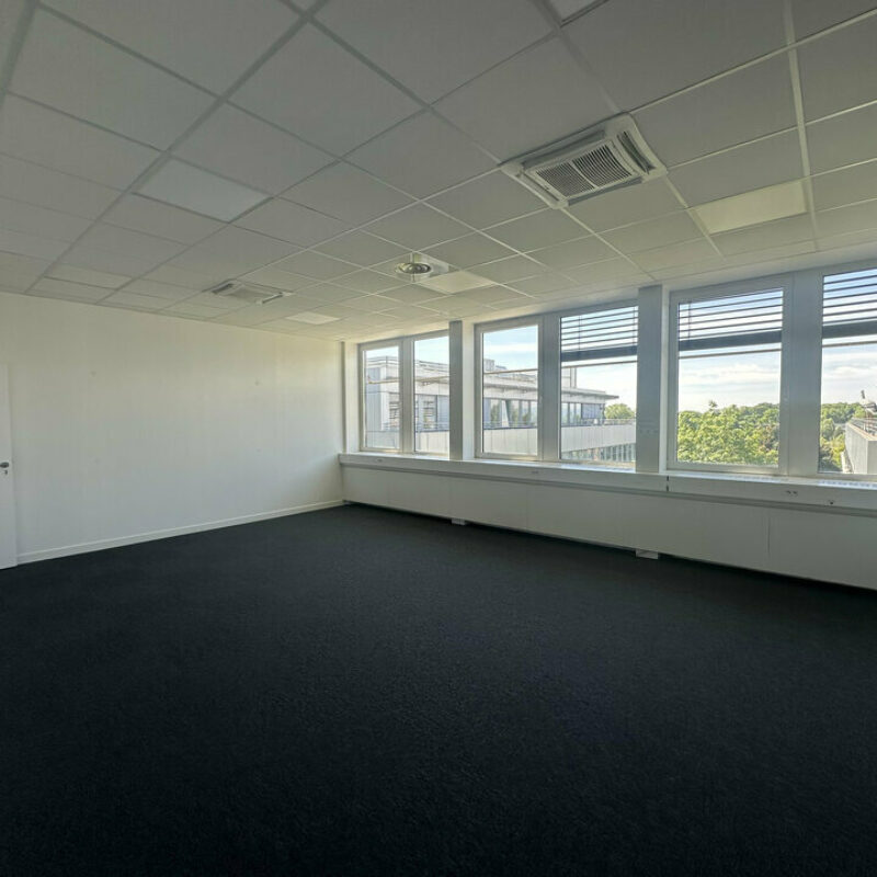 Location - 276 m² - SCHILTIGHEIM - 3