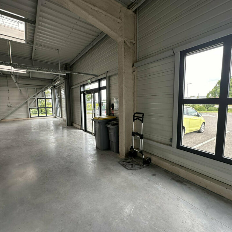 Location - 125 m² - MARCKOLSHEIM - 5