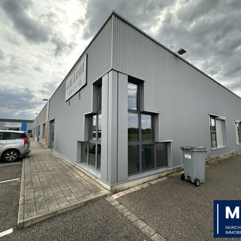 Location - 125 m² - MARCKOLSHEIM - 1