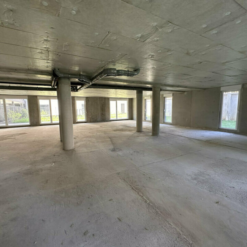 Location - 300 m² - SCHILTIGHEIM - 3