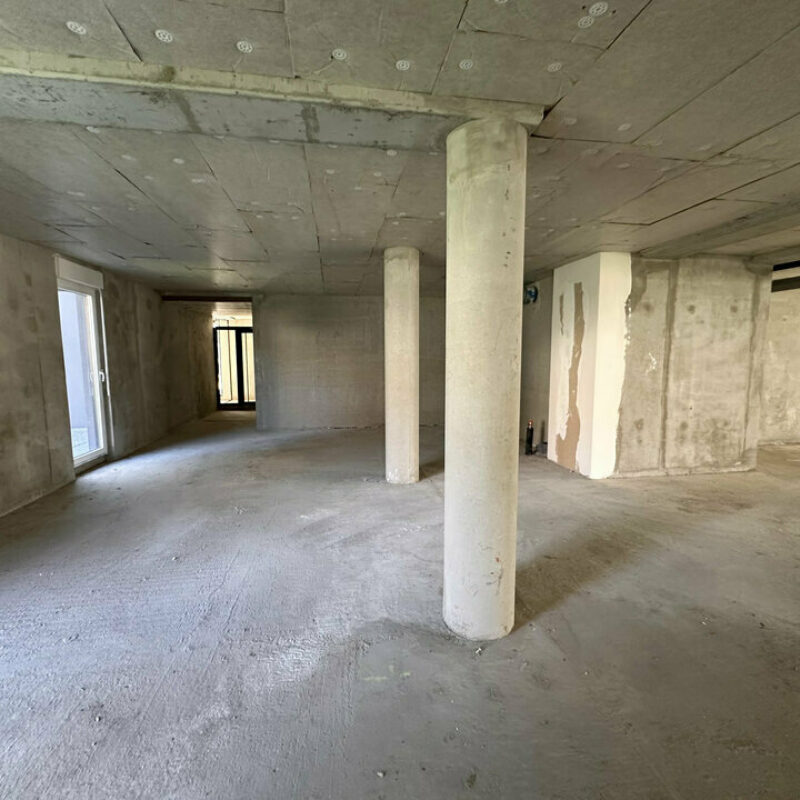 Location - 300 m² - SCHILTIGHEIM - 2