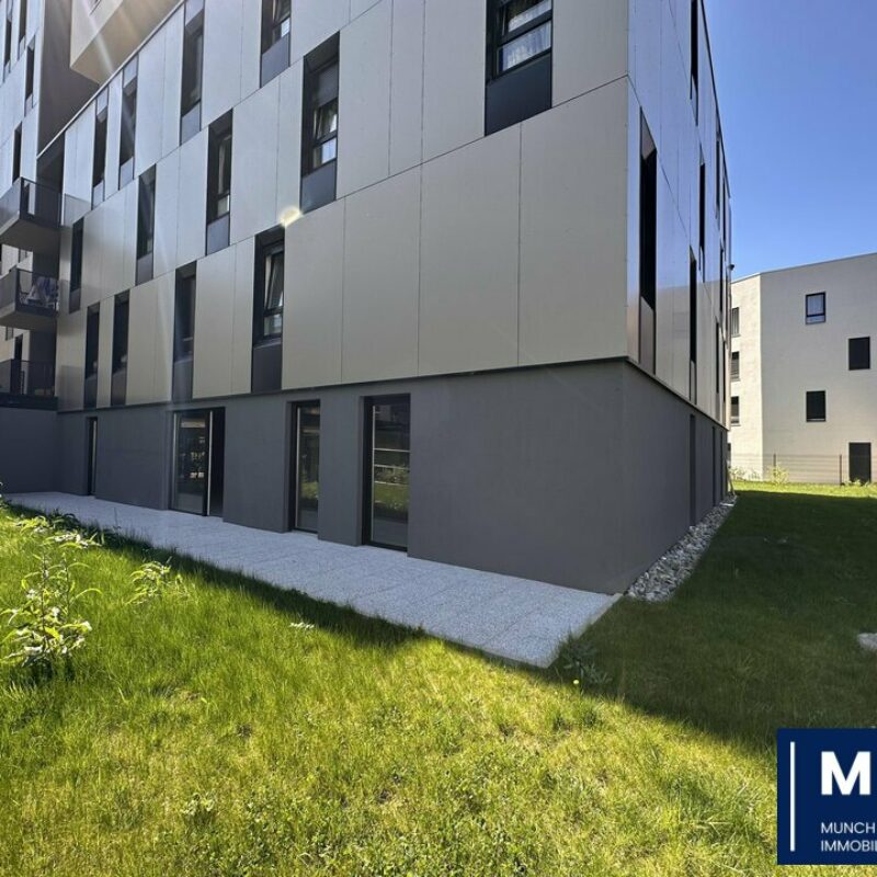 Location - 300 m² - SCHILTIGHEIM - 1