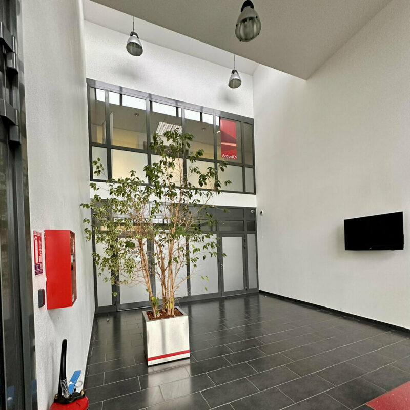 Vente - 759 m² - SCHILTIGHEIM - 3