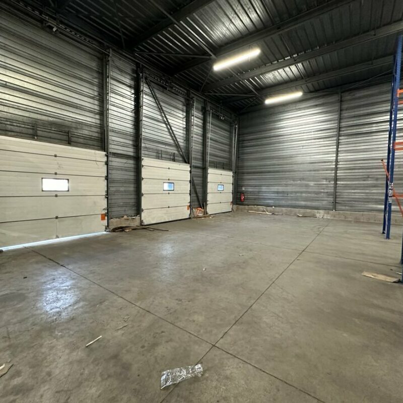 Location - 602.84 m² - STRASBOURG - 2