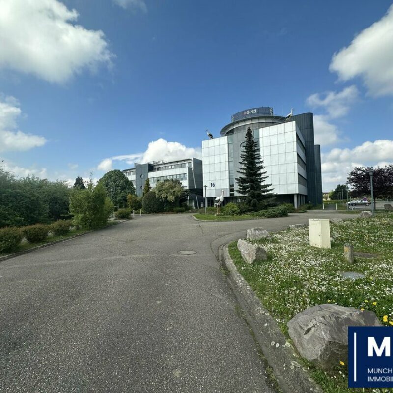 Location - 276 m² - SCHILTIGHEIM - 1