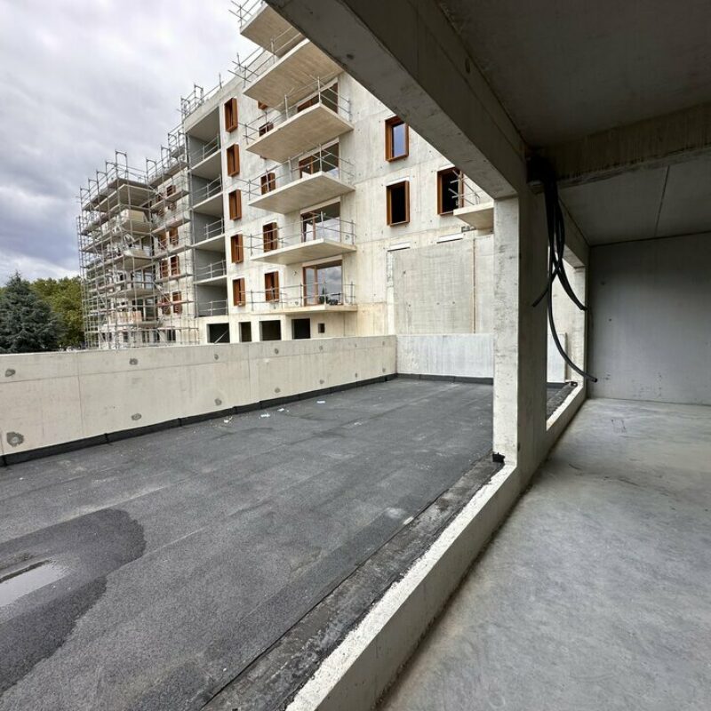 Vente - 345 m² - SCHILTIGHEIM - 5