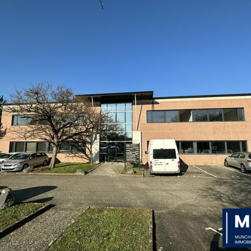 Vente - 248.71 m² - OBERHAUSBERGEN - 1