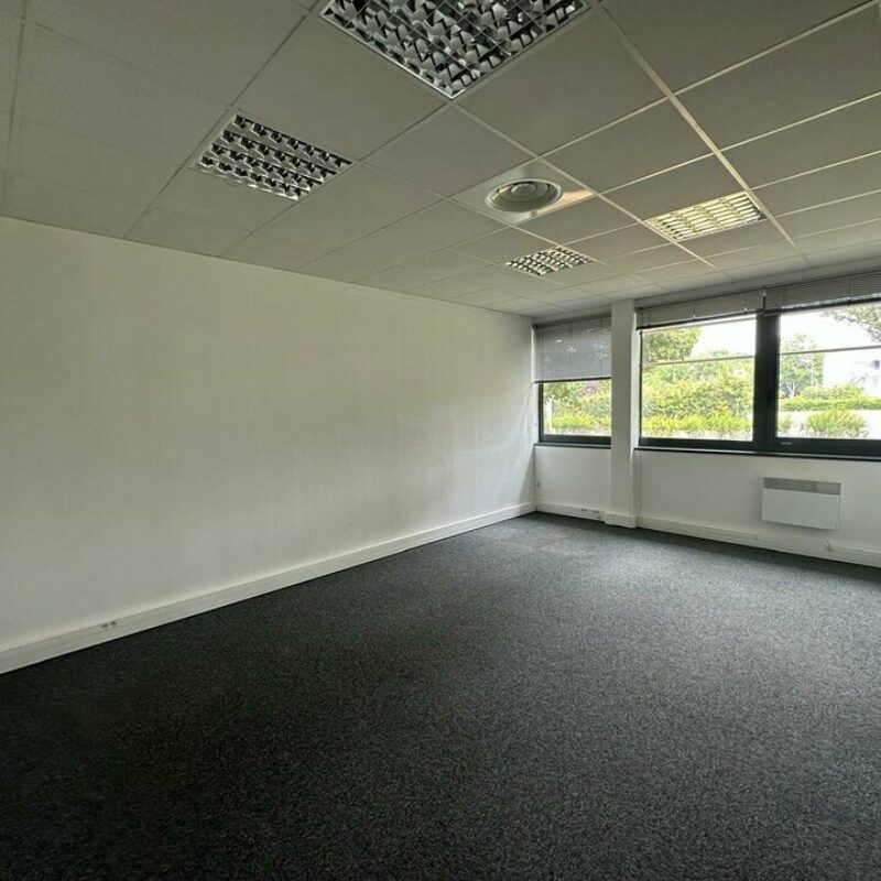 Location - 314 m² - SCHILTIGHEIM - 3