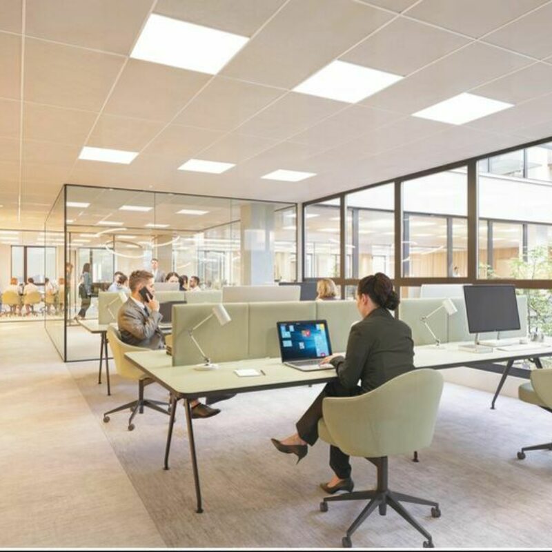 Location - 13620 m² - STRASBOURG - 2