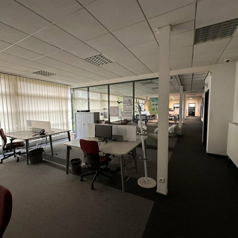 Location - 2500 m² - ILLKIRCH GRAFFENSTADEN - 4