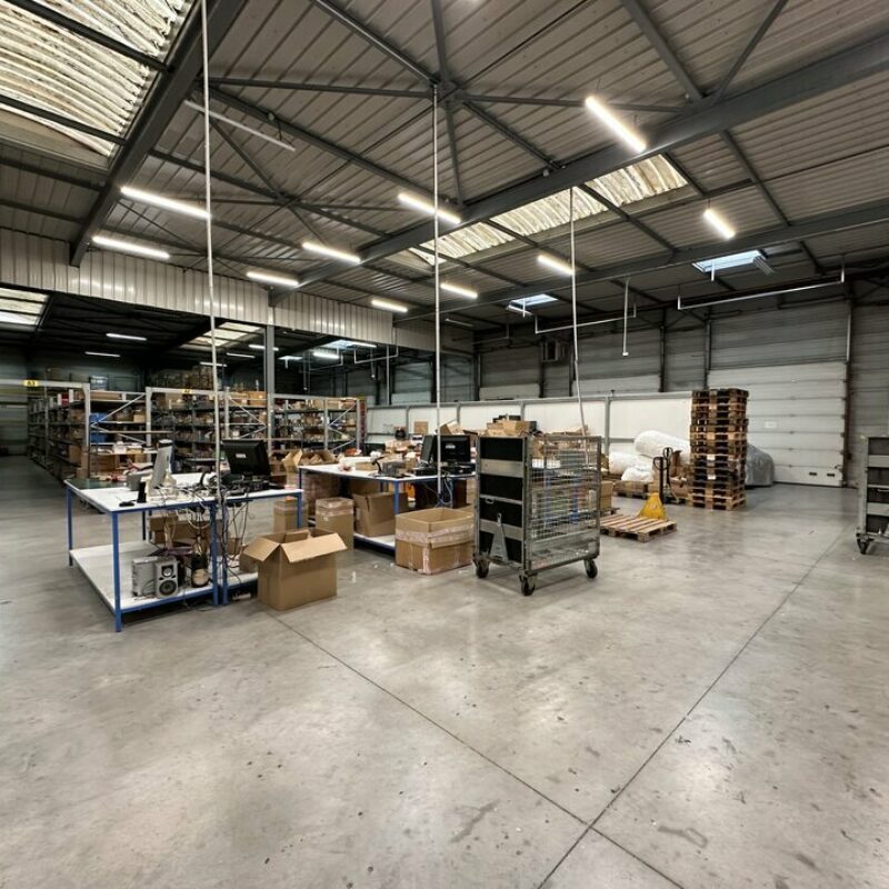 Location - 2500 m² - ILLKIRCH GRAFFENSTADEN - 3