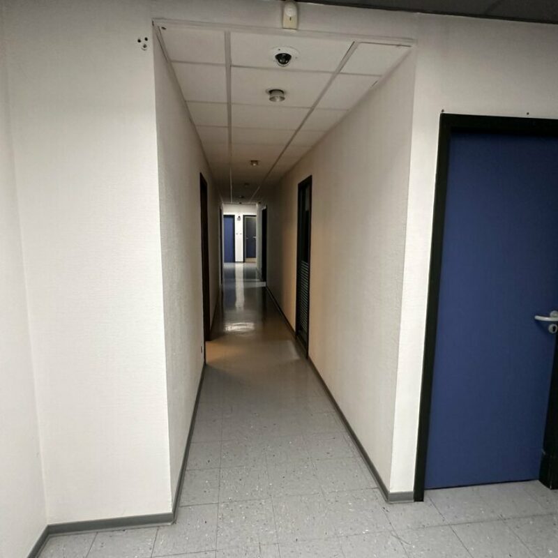 Location - 2500 m² - ILLKIRCH GRAFFENSTADEN - 5