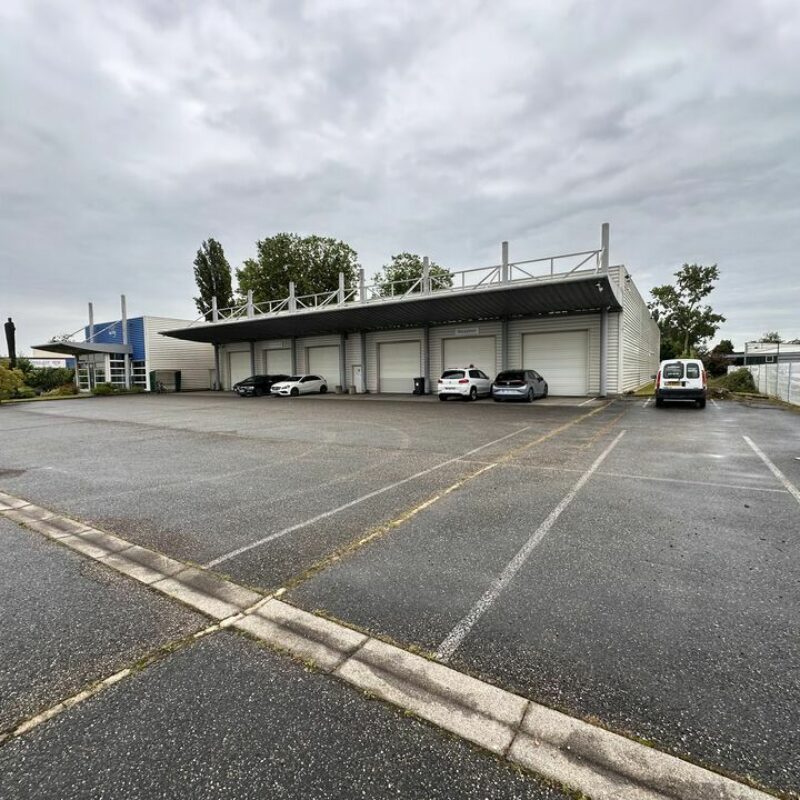 Location - 2500 m² - ILLKIRCH GRAFFENSTADEN - 2