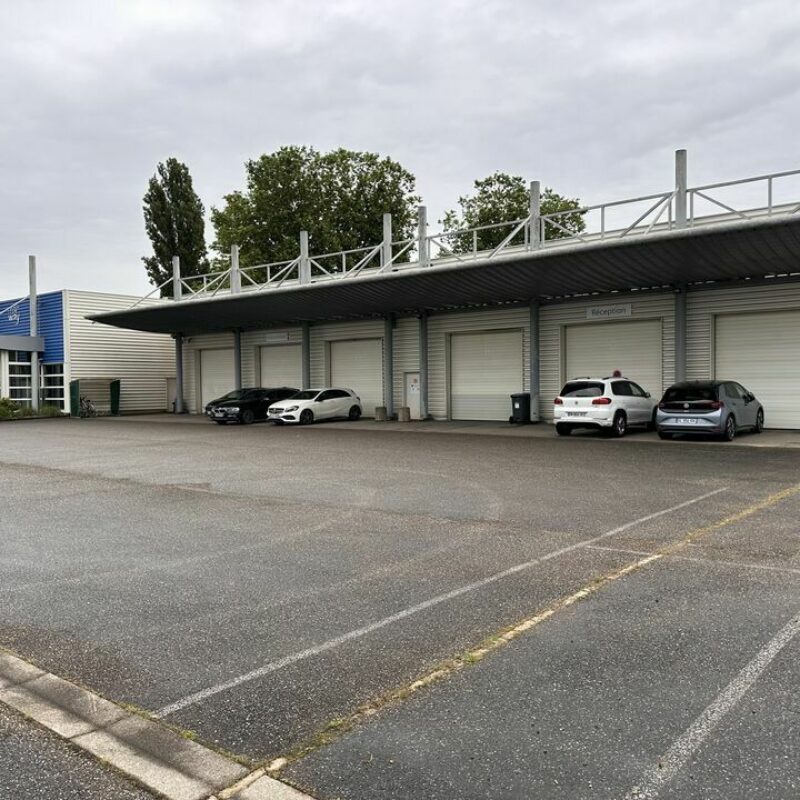 Location - 2500 m² - ILLKIRCH GRAFFENSTADEN - 1