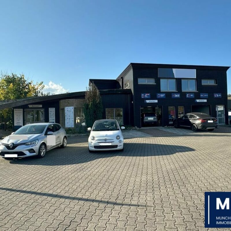 Vente - 308.8 m² - OBERNAI - 1