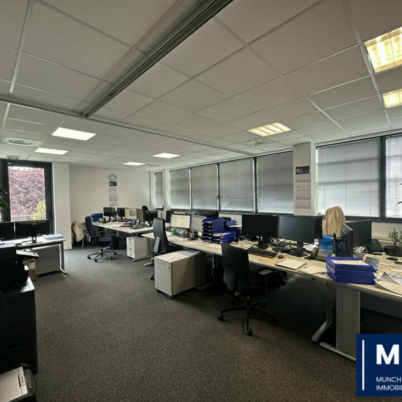 Location - 216 m² - SCHILTIGHEIM - 1